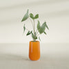 Tall Hayden Medium Round Fiberglass Planter - 18 in x 18 in x 29 in - Gloss Tangerine - Gloss Tangerine,18 in x 18 in x 29 in