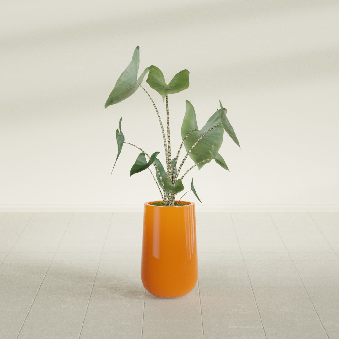 Tall Hayden Medium Round Fiberglass Planter - 18 in x 18 in x 29 in - Gloss Tangerine - Gloss Tangerine,18 in x 18 in x 29 in