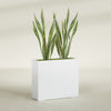 Perth Extra Large Long Rectangle Fiberglass Planter - 48 in x 16 in x 42 in - Gloss White - Gloss White,48 in x 16 in x 42 in