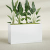 Darwin Extra Large Long Rectangle Fiberglass Planter - 72 in x 24 in x 42 in - Gloss White - Gloss White,72 in x 24 in x 42 in