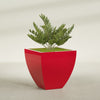 Lima Large Tapered Square Fiberglass Planter - 30 in x 30 in x 30 in - Gloss Red - Gloss Red,30 in x 30 in x 30 in