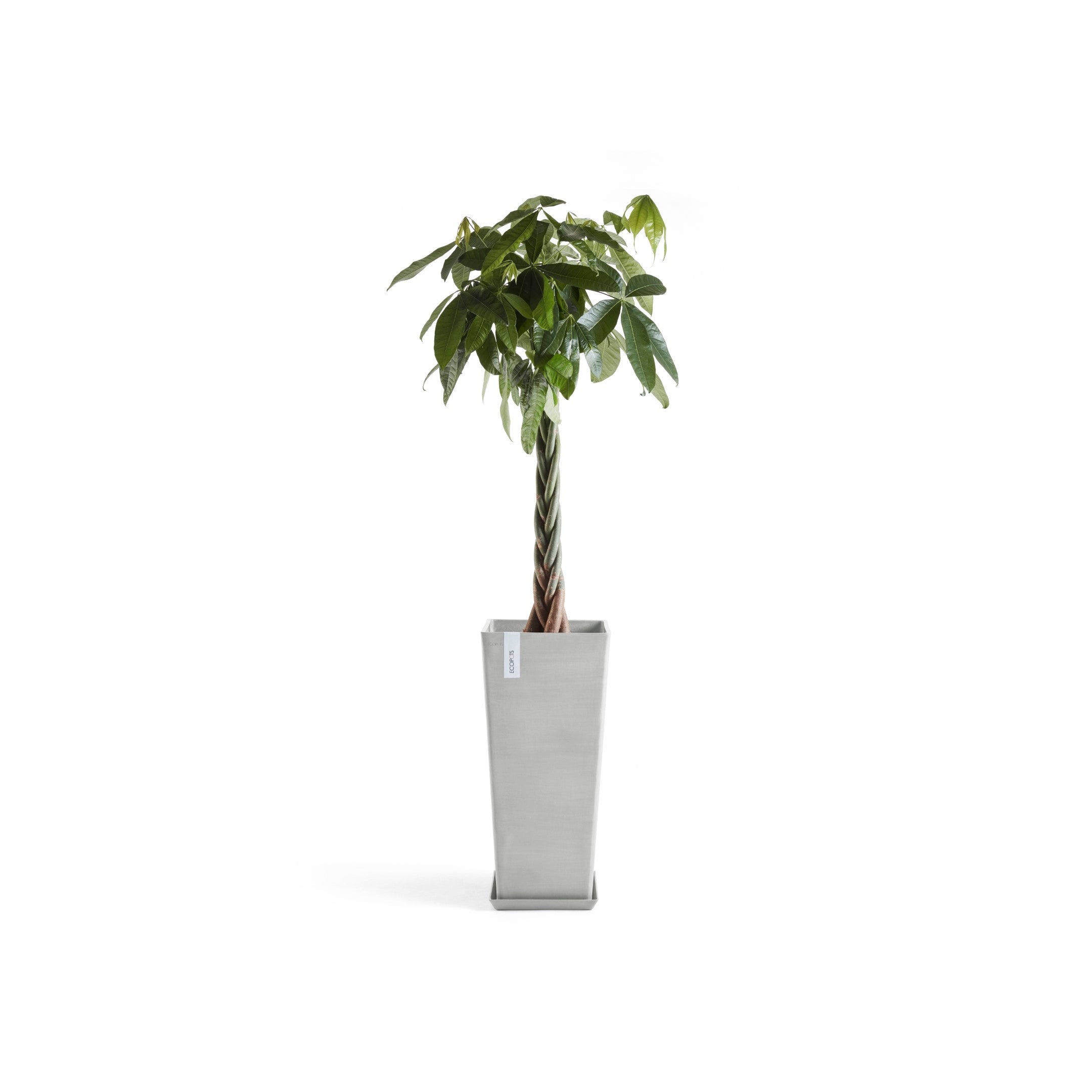 Rotterdam Medium Tall Square Planter - 12.6 in x 12.6 in x 27.5 in - Planter + Saucer - White Grey - White Grey,12.5 in x 12.5 in x 27.5 in,Planter + Saucer