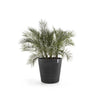 Amsterdam Medium Round Planter with Wheels - 23.5 in x 23.5 in x 22 in - Dark Grey - Dark Grey,23.5 in x 23.5 in x 22 in