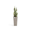 Rotterdam Medium Tall Square Planter - 12.6 in x 12.6 in x 27.5 in - Taupe - Taupe,12.5 in x 12.5 in x 27.5 in,Planter Only