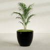 Wannsee Large Round Fiberglass Planter - 44 in x 44 in x 39 in - Gloss Black - Gloss Black,44 in x 44 in x 39 in