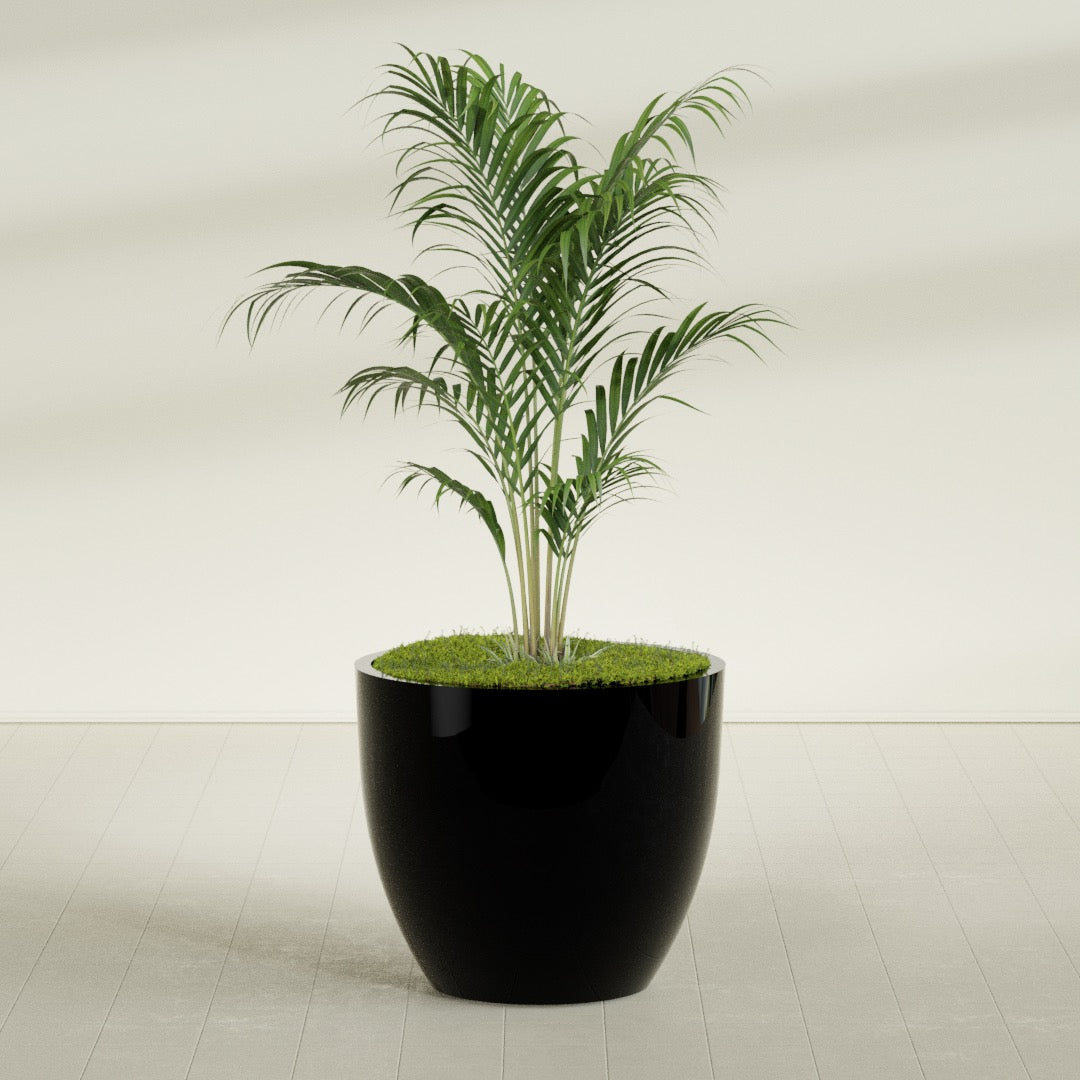 Wannsee Large Round Fiberglass Planter - 44 in x 44 in x 39 in - Gloss Black - Gloss Black,44 in x 44 in x 39 in