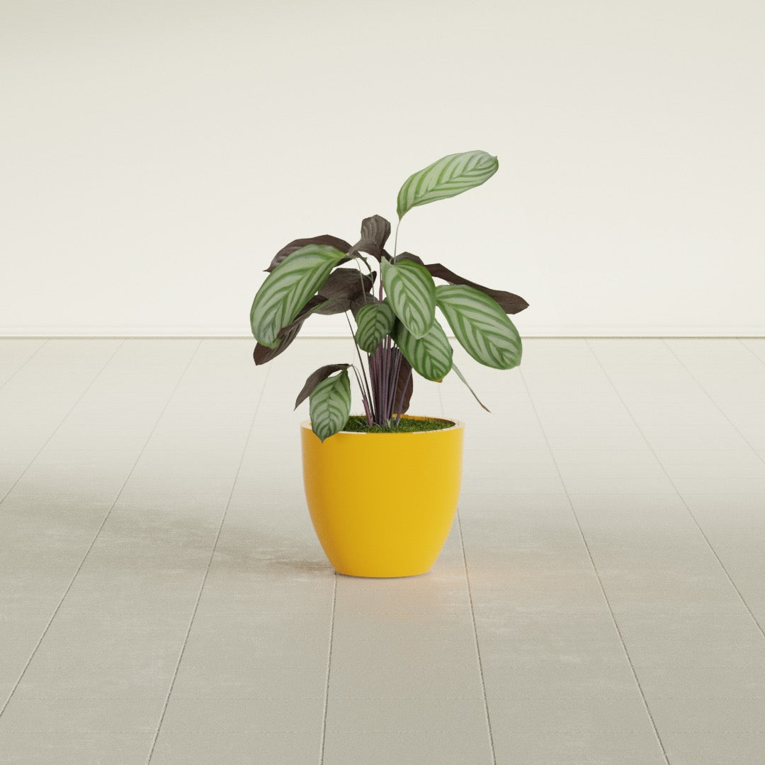 Wannsee Small Round Fiberglass Planter - 15 in x 15 in x 13 in - Gloss Saffron - Gloss Saffron,15 in x 15 in x 13 in