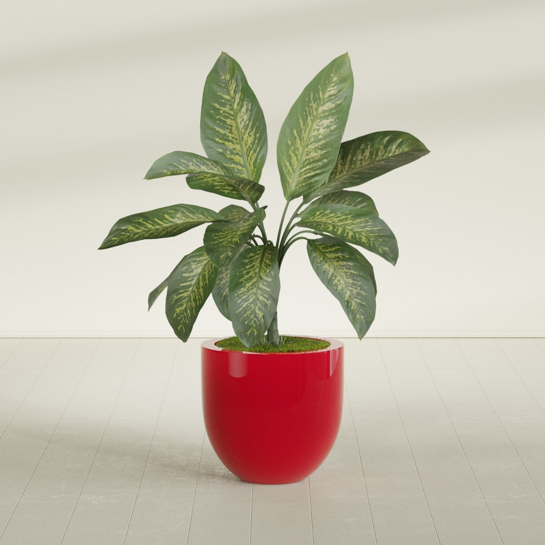 Alzira Medium Round Fiberglass Planter - 23 in x 23 in x 22 in - Gloss Red - Gloss Red,23 in x 23 in x 22 in