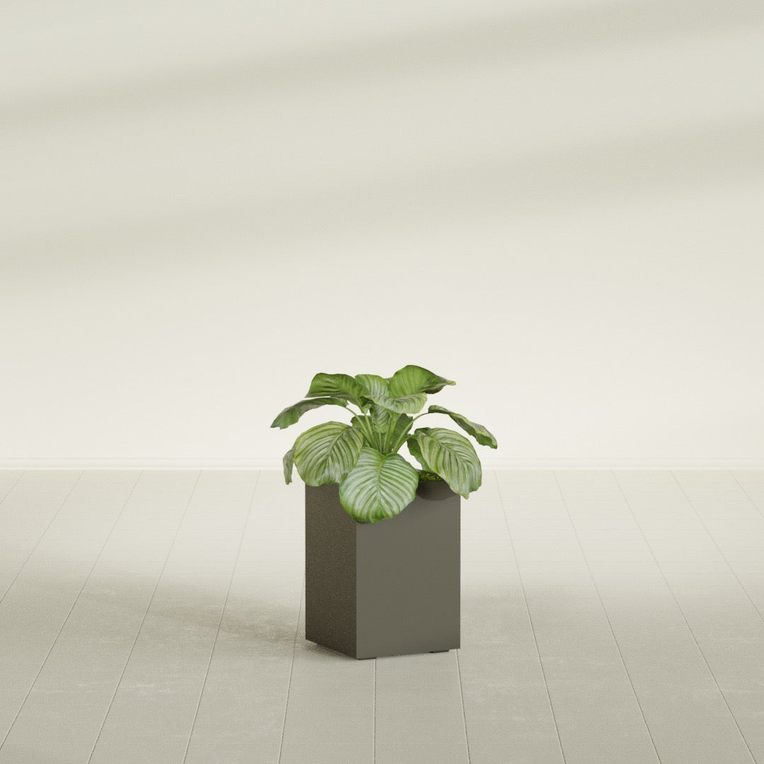 Miami Small Rectangle Fiberglass Planter - 12 in x 12 in x 18 in - Matte Bronze - Matte Bronze,12 in x 12 in x 18 in