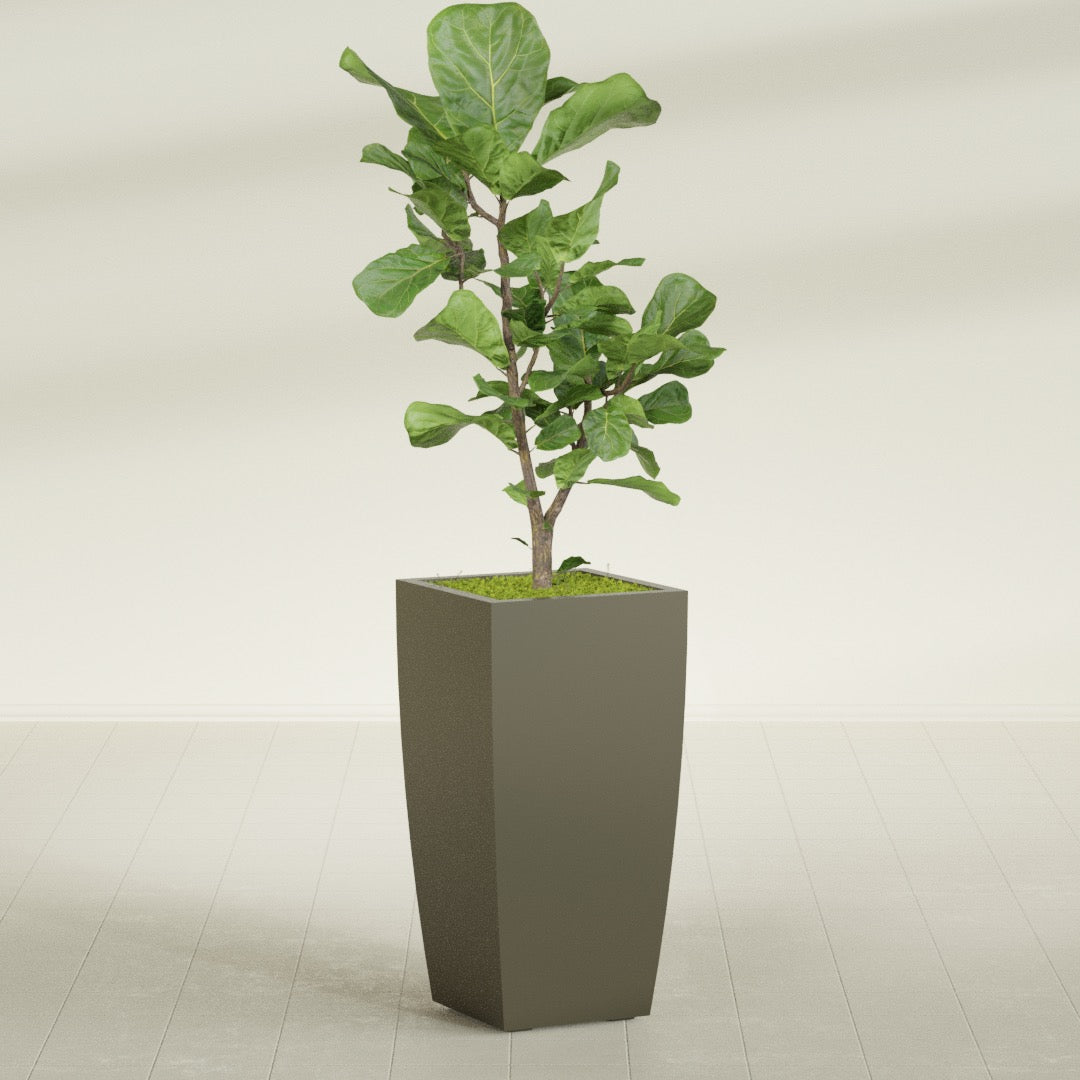 Toulan Large Tall Tapered Square Fiberglass Planter - 18 in x 18 in x 36 in - Matte Bronze - Matte Bronze,18 in x 18 in x 36 in