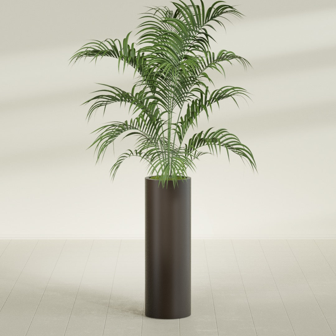 Corry Large Tall Cylinder Fiberglass Planter - 12 in x 12 in x 36 in - Matte Brown - Matte Brown,30 in x 30 in x 32 in