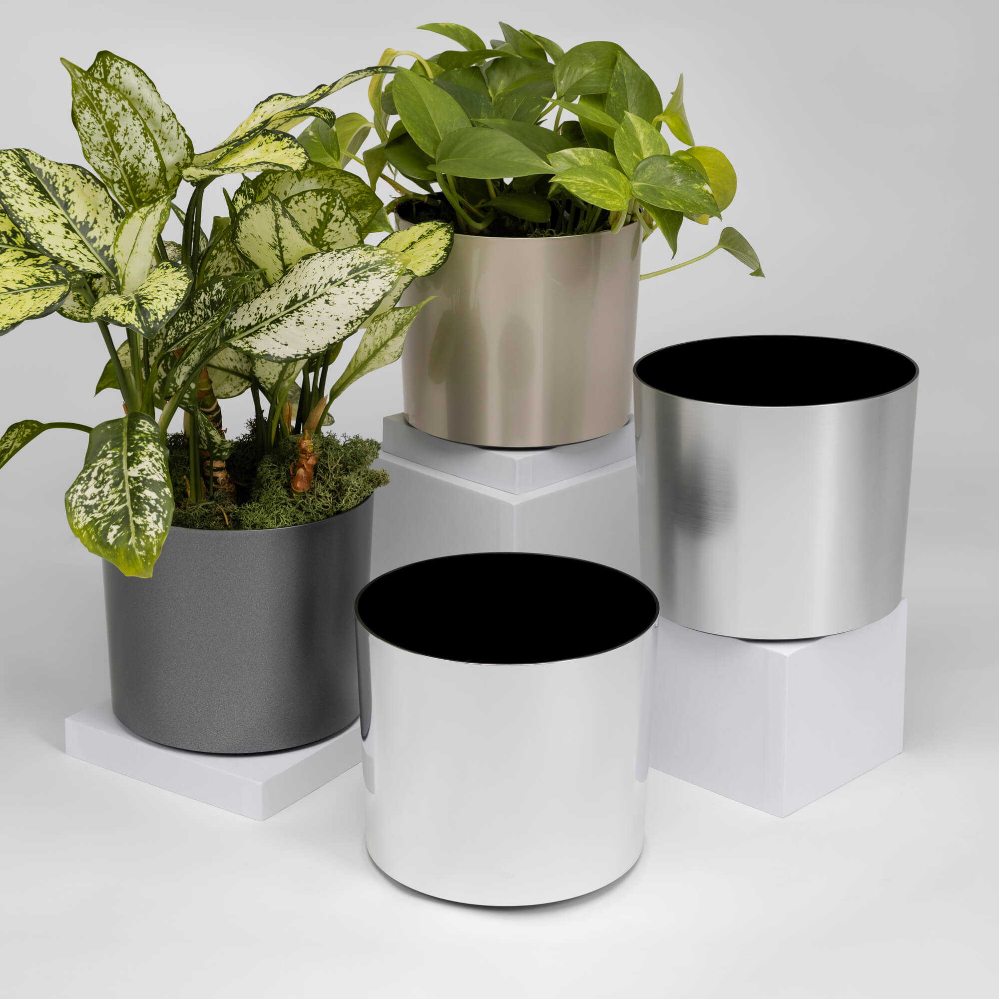 Tabletop Cylinder - 7in diam. x 6in