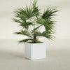 Montroy Medium Cube Square Fiberglass Planter - 24 in x 24 in x 24 in - Gloss White - Gloss White,24 in x 24 in x 24 in