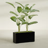 Tolga Extra Large Long Rectangle Fiberglass Planter - 48 in x 16 in x 24 in - Gloss Black - Gloss Black,48 in x 16 in x 24 in