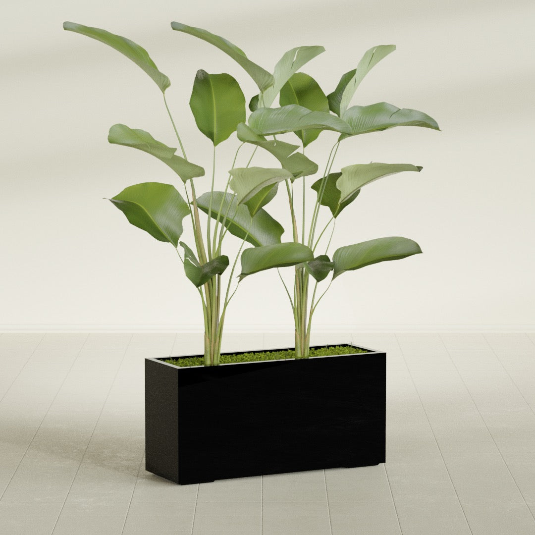 Tolga Extra Large Long Rectangle Fiberglass Planter - 48 in x 16 in x 24 in - Gloss Black - Gloss Black,48 in x 16 in x 24 in