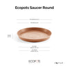 Small Round Saucer - 20 in x 20 in x 1.5 in - Terracotta - Terracotta,20 in x 20 in x 1.5 in