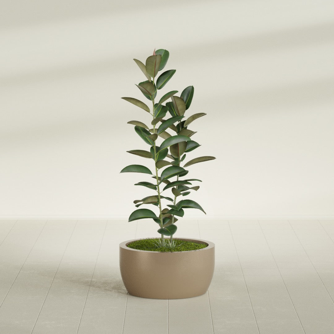 Casablanca Medium Round Low Bowl Fiberglass Planter - 24 in x 24 in x 12 in - Metallic Gold - Metallic Gold,24 in x 24 in x 12 in