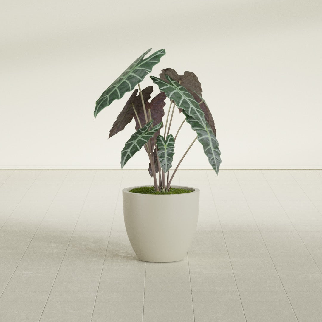 Wannsee Medium Round Fiberglass Planter - 22 in x 22 in x 19 in - Satin Beige - Satin Beige,22 in x 22 in x 19 in