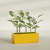 Torino Extra Large Wide Rectangle Fiberglass Planter - 48 in x 24 in x 18 in - Gloss Saffron - Gloss Saffron,48 in x 24 in x 18 in