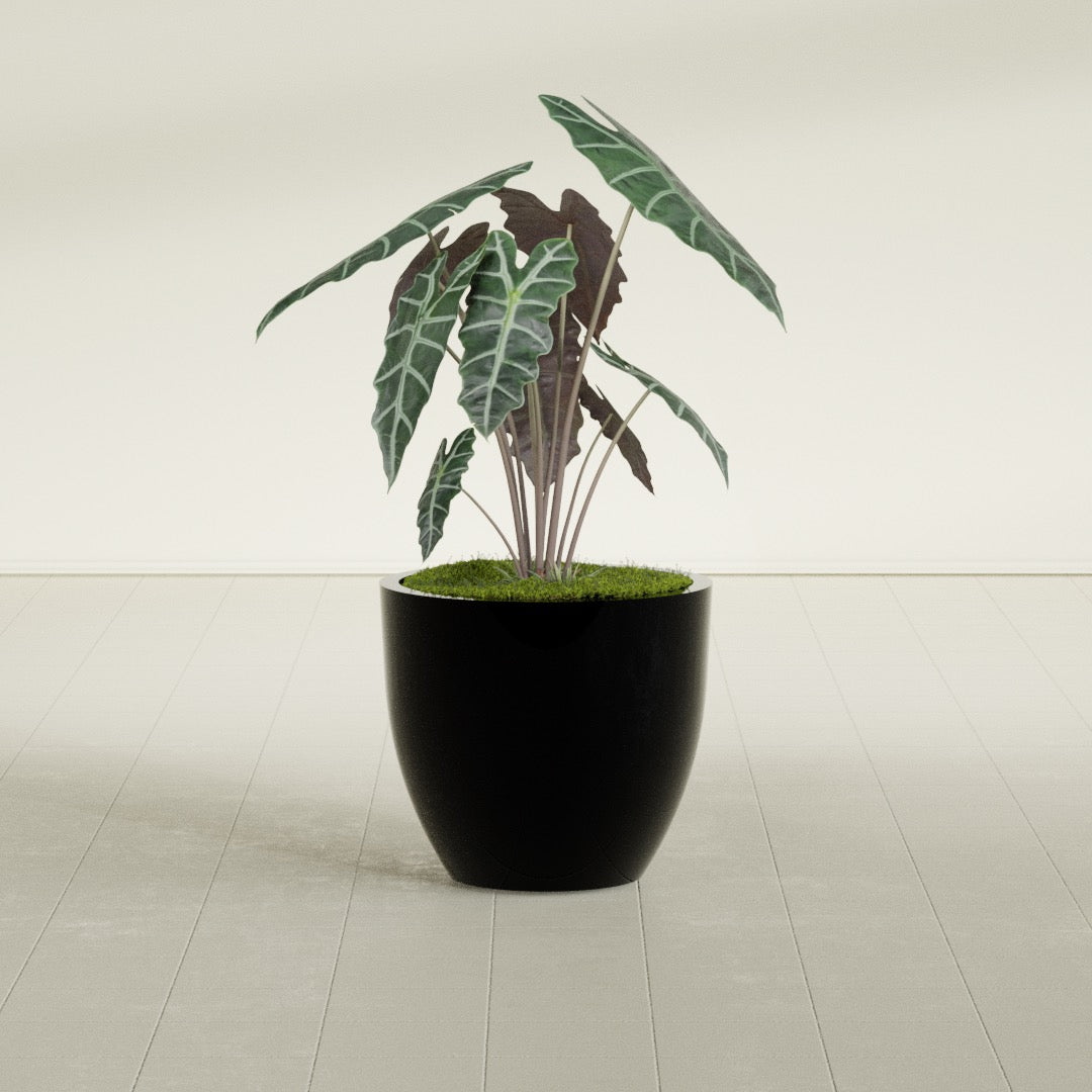 Wannsee Medium Round Fiberglass Planter - 27 in x 27 in x 24 in - Gloss Black - Gloss Black,27 in x 27 in x 24 in