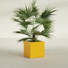 Montroy Medium Cube Square Fiberglass Planter - 24 in x 24 in x 24 in - Gloss Saffron - Gloss Saffron,24 in x 24 in x 24 in