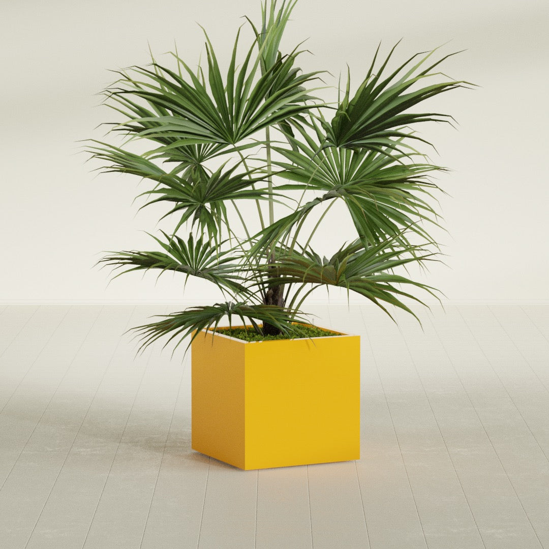 Montroy Medium Cube Square Fiberglass Planter - 24 in x 24 in x 24 in - Gloss Saffron - Gloss Saffron,24 in x 24 in x 24 in