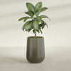Tall Hayden Medium Round Fiberglass Planter - 15 in x 15 in x 23 in - Matte Bronze - Matte Bronze,15 in x 15 in x 23 in