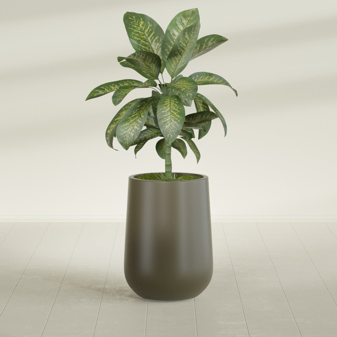 Tall Hayden Medium Round Fiberglass Planter - 15 in x 15 in x 23 in - Matte Bronze - Matte Bronze,15 in x 15 in x 23 in