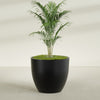 Wannsee Extra Large Round Fiberglass Planter - 50 in x 50 in x 44 in - Matte Black - Matte Black,50 in x 50 in x 44 in
