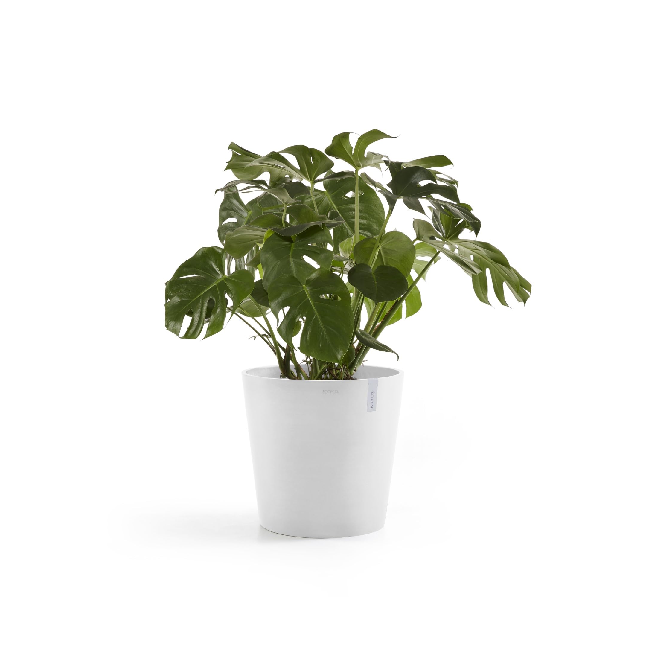 Amsterdam Medium Round Planter - 19.8 in x 19.8 in x 17.3 in - Pure White - Pure White,19.75 in x 19.75 in x 17.25 in,Planter Only