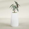 Saigon Large Tapered Round Planter - 16 in x 21 in x 36 in - Matte White - Matte White,16.4 in x 20.7 in x 36 in