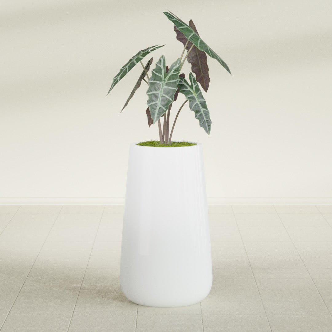 Saigon Large Tapered Round Planter - 16 in x 21 in x 36 in - Matte White - Matte White,16.4 in x 20.7 in x 36 in