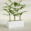 Tolga Extra Large Long Rectangle Fiberglass Planter - 60 in x 16 in x 24 in - Matte White - Matte White,60 in x 16 in x 24 in