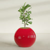 Globe Large Sphere Fiberglass Planter - 36 in x 36 in x 30 in - Gloss Red - Gloss Red,36 in x 36 in x 30 in