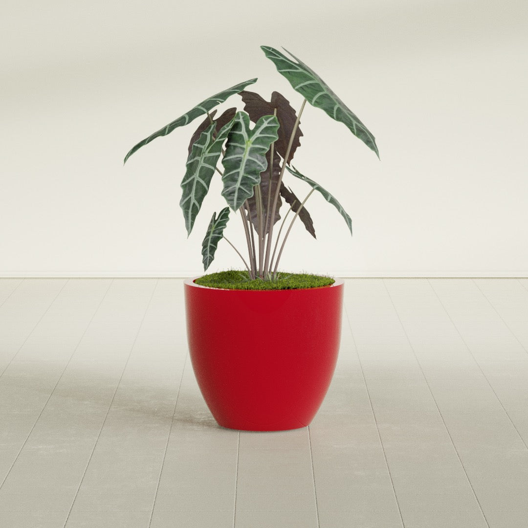 Wannsee Medium Round Fiberglass Planter - 27 in x 27 in x 24 in - Gloss Red - Gloss Red,27 in x 27 in x 24 in