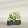 Reade Small Tabletop Rectangle Fiberglass Planter - 14 in x 5 in x 4.3 in - Matte Charcoal - Matte Charcoal,14 in x 5 in x 4.3 in