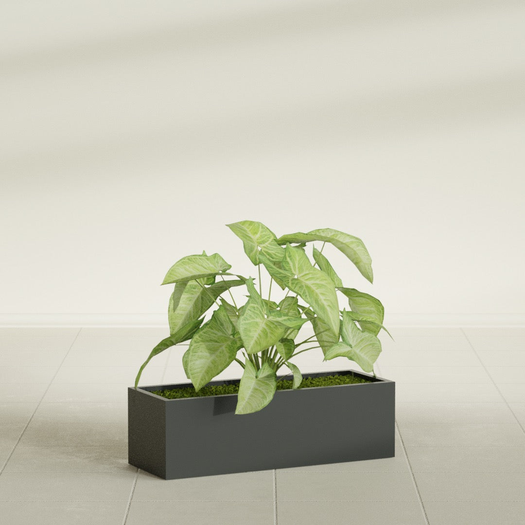 Reade Small Tabletop Rectangle Fiberglass Planter - 14 in x 5 in x 4.3 in - Matte Charcoal - Matte Charcoal,14 in x 5 in x 4.3 in