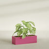 Reade Small Tabletop Rectangle Fiberglass Planter - 14 in x 5 in x 4.3 in - Gloss Pink Violet - Gloss Pink Violet,14 in x 5 in x 4.3 in