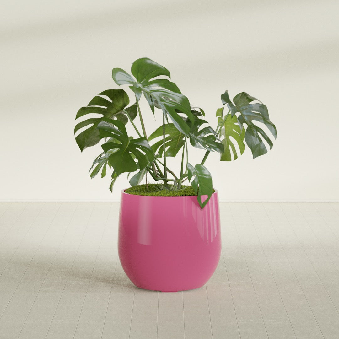 Westfield - 27in diam. x 25in - Gloss Pink Violet - Gloss Pink Violet,27 in diam. x 25 in H