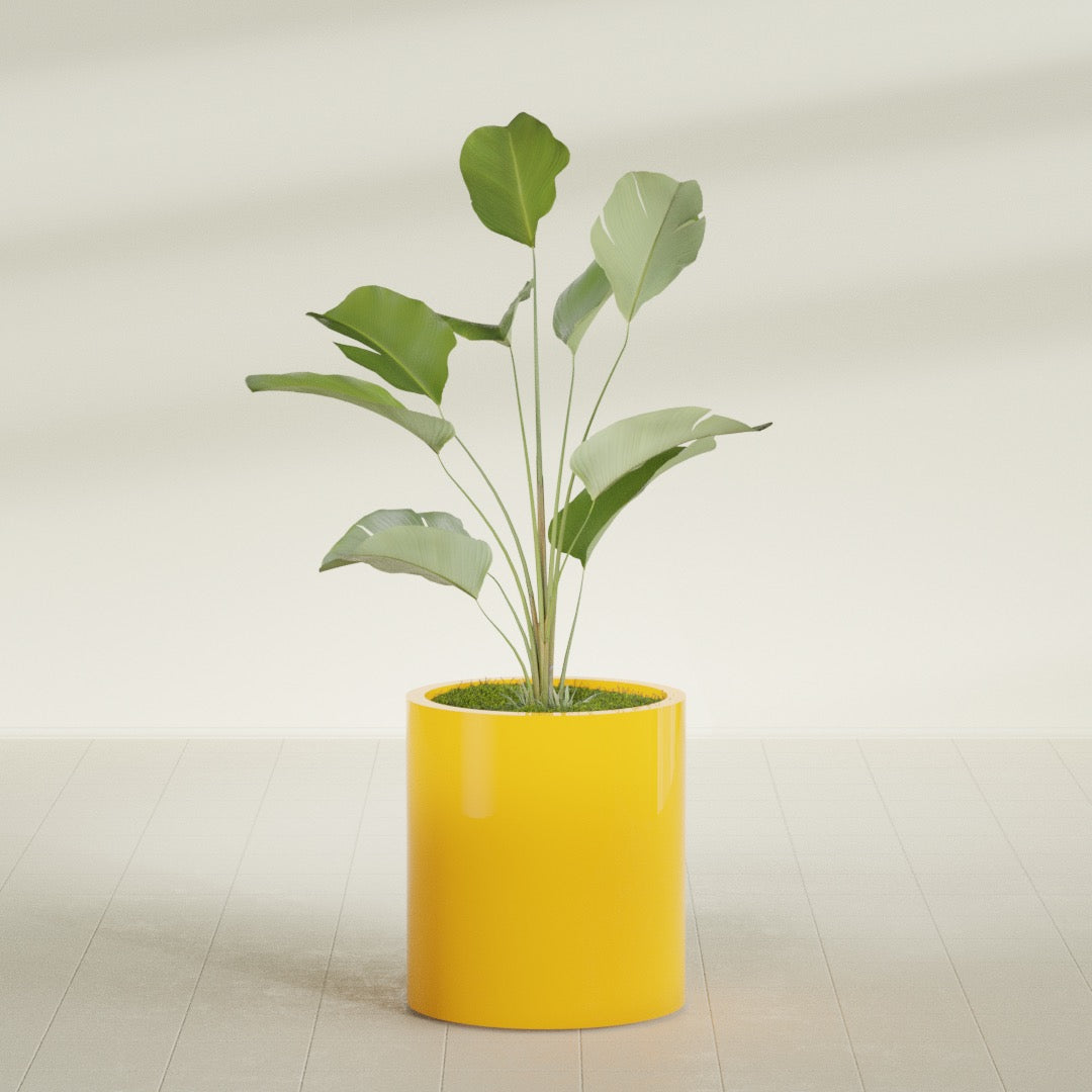 Rio Grande Medium Round Fiberglass Planter - 18 in x 18 in x 20 in - Gloss Saffron - Gloss Saffron,18 in x 18 in x 20 in