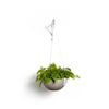 Hanging Brussels Small Bowl Planter - 13 in x 13 in x 6.5 in - Taupe - Taupe,13 in x 13 in x 6.5 in
