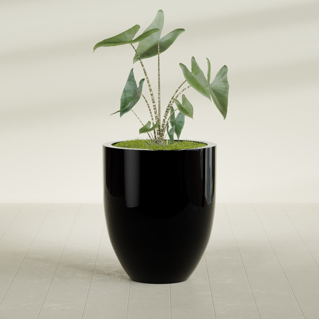 Valencia Large Round Fiberglass Planter - 27 in x 27 in x 31 in - Gloss Black - Gloss Black,27 in x 27 in x 31 in