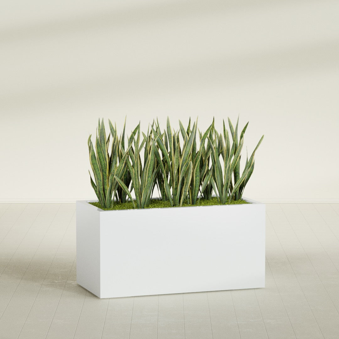 Granada Extra Large Long Rectangle Fiberglass Planter - 48 in x 24 in x 24 in - Matte White - Matte White,48 in x 24 in x 24 in