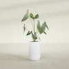 Tall Hayden Medium Round Fiberglass Planter - 18 in x 18 in x 29 in - Matte White - Matte White,18 in x 18 in x 29 in