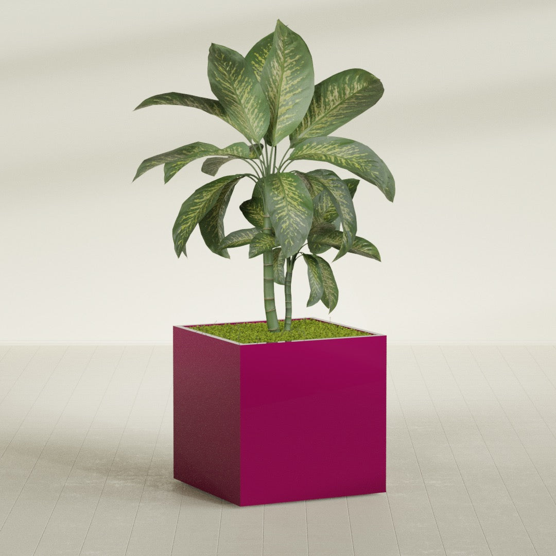 Montroy Large Cube Square Fiberglass Planter - 36 in x 36 in x 36 in - Gloss Eggplant - Gloss Eggplant,36 in x 36 in x 36 in