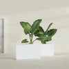 Panama Extra Large Long Rectangle Fiberglass Planter - 48 in x 12 in x 18 in - Matte White - Matte White,48 in x 12 in x 18 in
