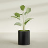 Rio Grande Medium Round Fiberglass Planter - 18 in x 18 in x 20 in - Matte Black - Matte Black,18 in x 18 in x 20 in