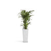 Rotterdam High Medium Square Planter - 12.6 in x 12.6 in x 27.5 in - Planter + Saucer - Pure White - Pure White,12.5 in x 12.5 in x 27.5 in,Planter + Saucer