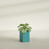 Miami Small Rectangle Fiberglass Planter - 12 in x 12 in x 18 in - Satin Sea Foam - Satin Sea Foam,12 in x 12 in x 18 in