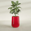 Tall Hayden Medium Round Fiberglass Planter - 15 in x 15 in x 23 in - Gloss Red - Gloss Red,15 in x 15 in x 23 in